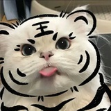 匆匆