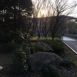 何栖夢