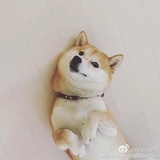 圈圈圈圈圈