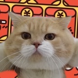 梁大局