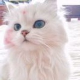 起来打怪