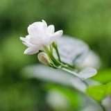 莫莫姐的小书房