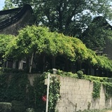 豆友192028820