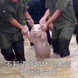 豆友192045357