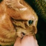 大山深处自然黑