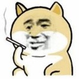 213。