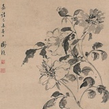 开窗