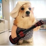 科穆宁的亡魂