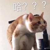 哈哈