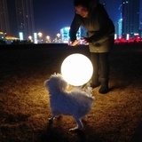 走叉门马