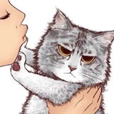 犯二灬妹纸