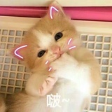 咩