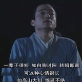 一辈子很长