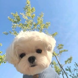 豆友192353841