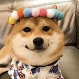 起飞