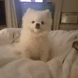豆友192395267