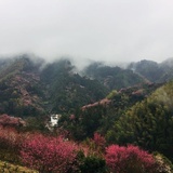 朦朦胧胧西岳