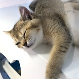 我又吃撑了