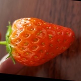 草莓味的屁