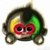 小胡