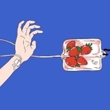 黑酱籽儿