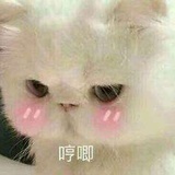 眉目弯