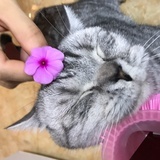 豆友192488875