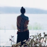 三丰酱