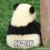 豆友192498658