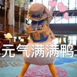 芜甯旒悥