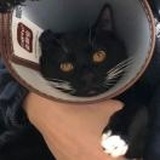 WangMouMou🐱