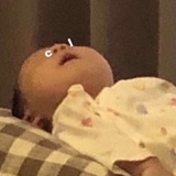 黄豆儿