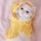 安然
