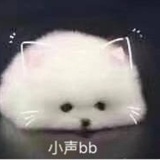闷骚下的天然呆