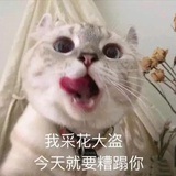 已注销