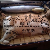 怎么了喵