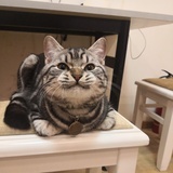 回手掏，手里干