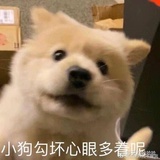哟哟哟