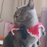叁哥