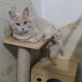 小满与滋滋