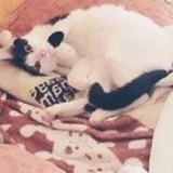 竹帛渲墨