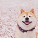 大娱乐家、v
