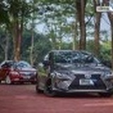 🔥辉辉嘉bb 👻