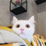 不二