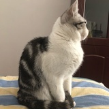 团子最可爱了