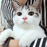 鱼满微阳