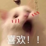 臭臭超爱吃酸奶