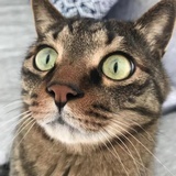 suilanyu2