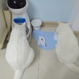 水墨儿和小久