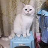 luluhope
